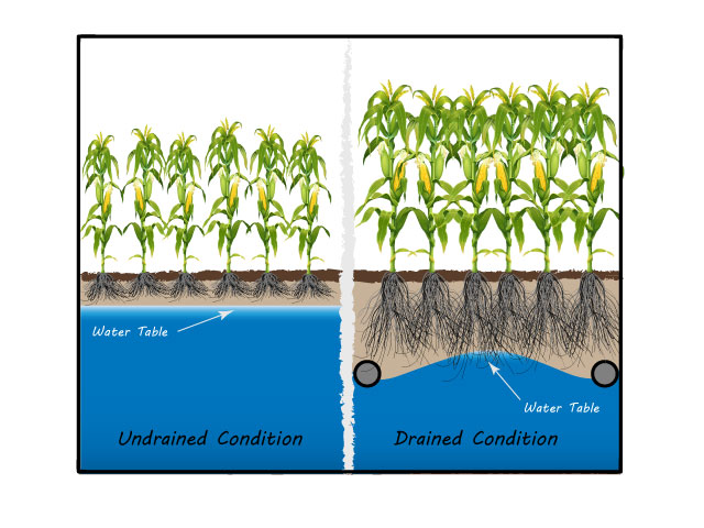 Farm Drainage Ag Water Management